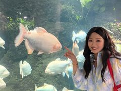 -南昌海洋公园