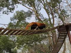 -上海野生动物园