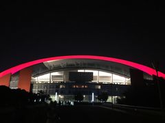 -南京奥林匹克体育中心-体育馆