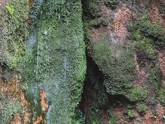 -玻璃桥景区石牛寨