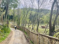 -宝业会稽山高尔夫俱乐部