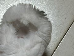 -海底捞火锅(金光华店)