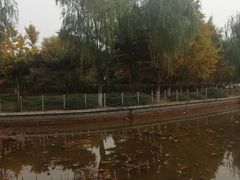 -康庄公园