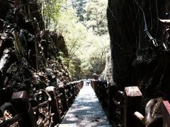 -刘伯温故里景区百丈漈