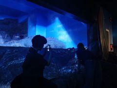 -暹罗海洋世界
