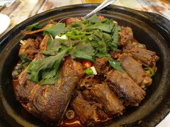 -椿记烧鹅(叠彩店)