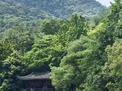 -杭州半山国家森林公园