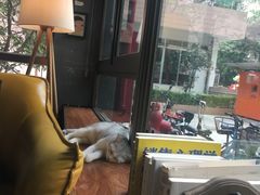 -咖法森林·咖啡  酒吧(天河店)