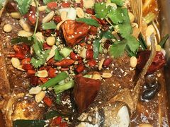 -华盛园卷子王农家菜水库鱼