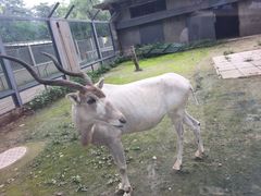 -辛玛王国游乐园