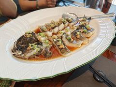 金汤清蒸海龙斑-九福楼大酒店