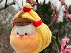 -梅花山(明孝陵内)