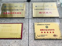 -申普宠物医院·心脏介入·心血管微创(总院)
