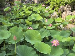 -练塘古镇