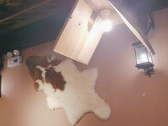 -柿子树炭烤羊腿(金台路店)