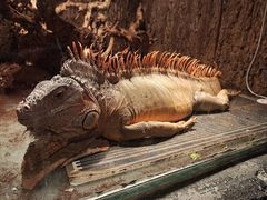 -锦艺城海洋馆