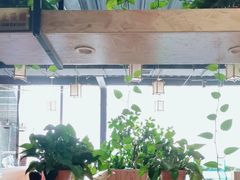 -桃源村铁锅炖鱼(体育馆道店)