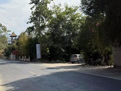 -海南霸王岭国家森林公园