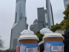 -陆家嘴中心绿地