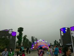 -秀丽东方