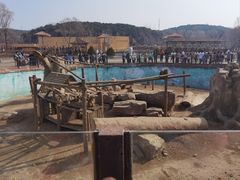 -沈阳森林动物园