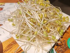 -沈胖子音乐烤吧·炒菜·龙虾(环城东路店)