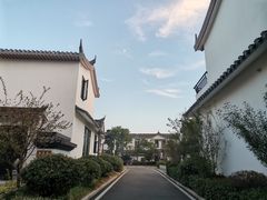 -花博汇(知音花月夜)