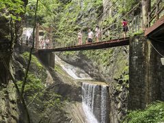 -牛背梁国家森林公园