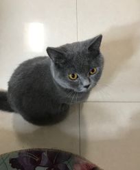 点击看大图 -一笔绣狂草美甲坊