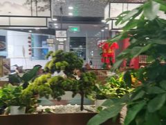 -洞庭家宴·头牌甲鱼(广渠门店)