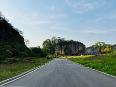 -南山植物园