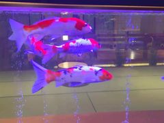 -大江户·温泉洗浴(浑南店)