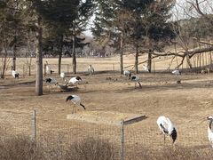 -沈阳森林动物园