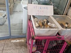 -宝鸡东道花鸟鱼虫市场(吉利花园商场店)