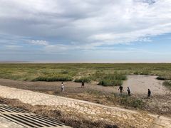 -春花秋色城市公园