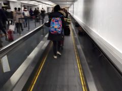 -约翰·菲茨杰拉德·肯尼迪国际机场