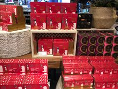 -DFS旗下T广场(新加坡店)