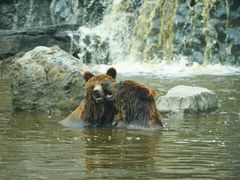 -北京野生动物园