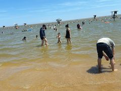 -碧海金沙