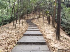 -火炉山森林公园