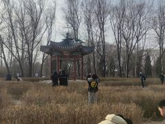 -北京麋鹿生态实验中心