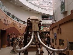 -陕西自然博物馆