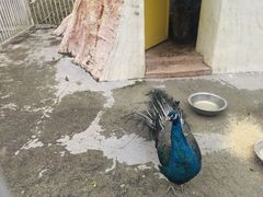 -瓷天下海丝谷