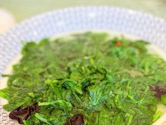 上汤豆苗-北园酒家(小北路店)