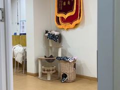-初心动物医院