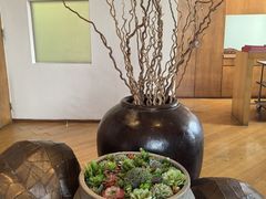 -广州富力君悦大酒店空中花园