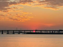 -宝安西湾红树林湿地公园