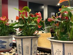 -峨嵋酒家(牡丹园店)