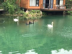 -杭州开元森泊度假乐园