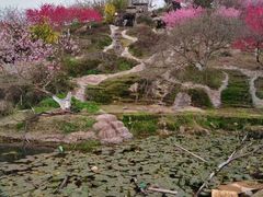 -秀丽东方